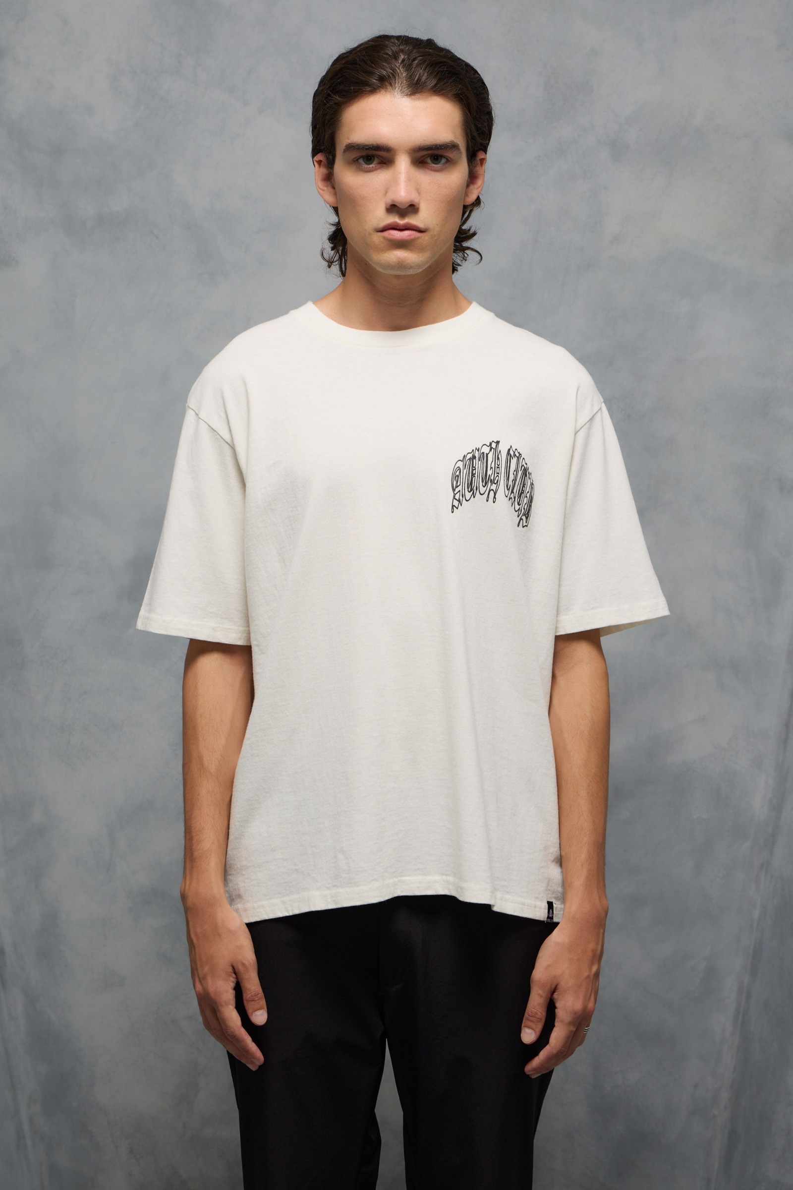 REMERA AUTHENTICS BLURRY FW                                                                          