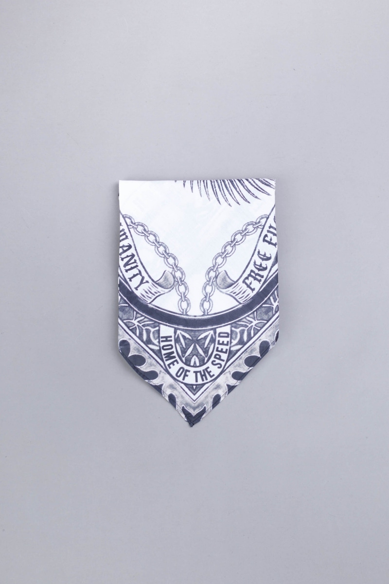 PAÑUELO AR 5