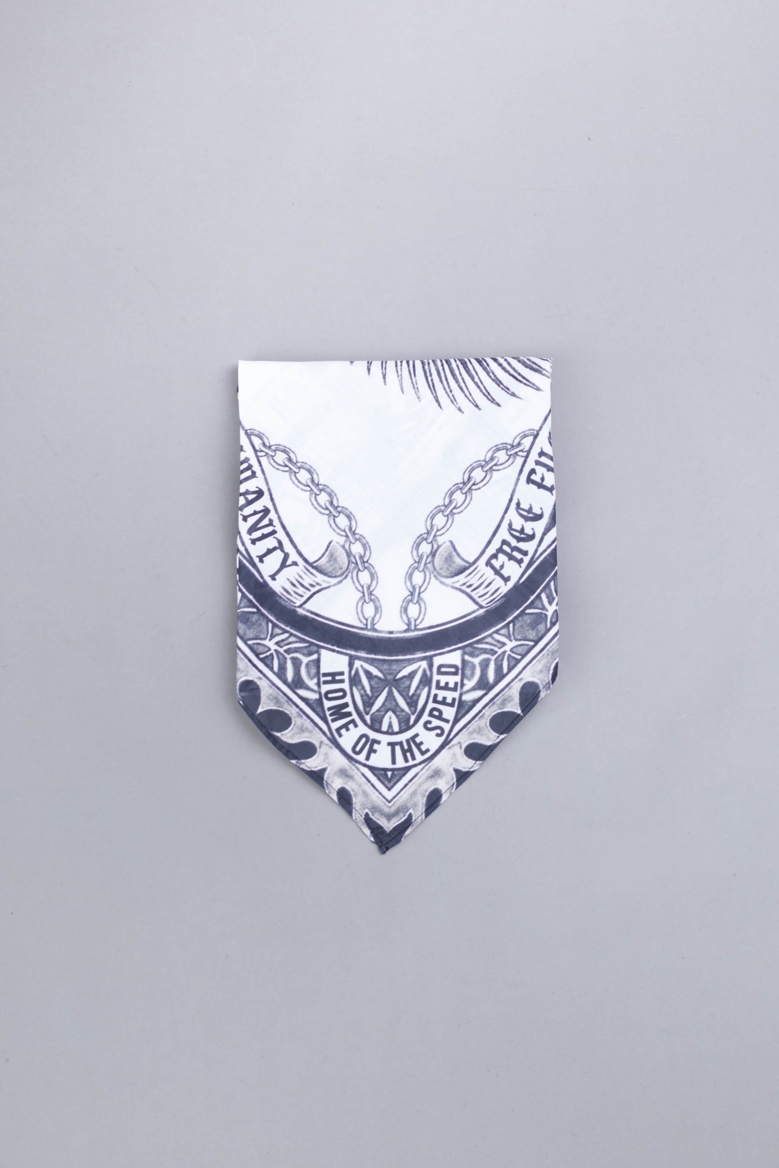 PAÑUELO AR 5